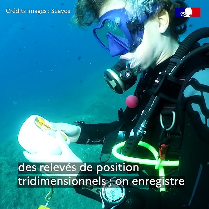 L'envie d'entreprendre | Episode 4 - Seayos