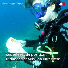 L'envie d'entreprendre | Episode 4 - Seayos