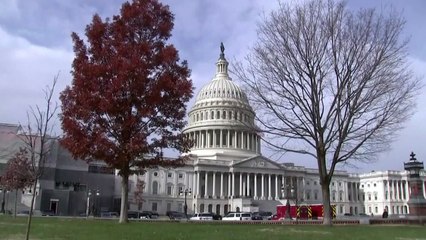 美 상·하원도 함께 선거...한인 후보도 관심! / YTN