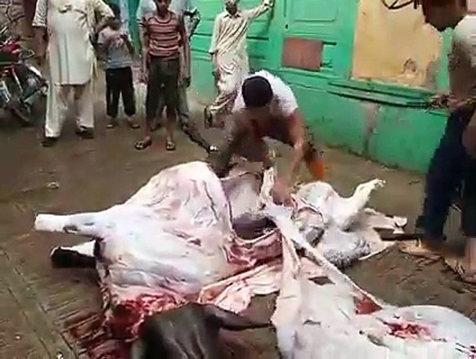 Expert Qasai 5 mint ma Janwer farig Bakra Eid