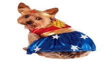 Ideas - Creativas de Disfraces de Halloween para Tu Perro