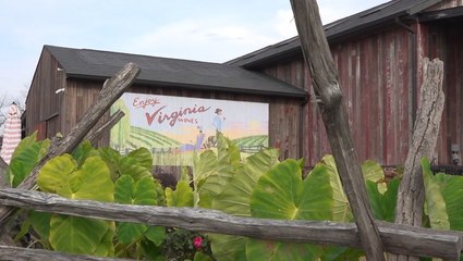 Wineries get creative as winter approaches