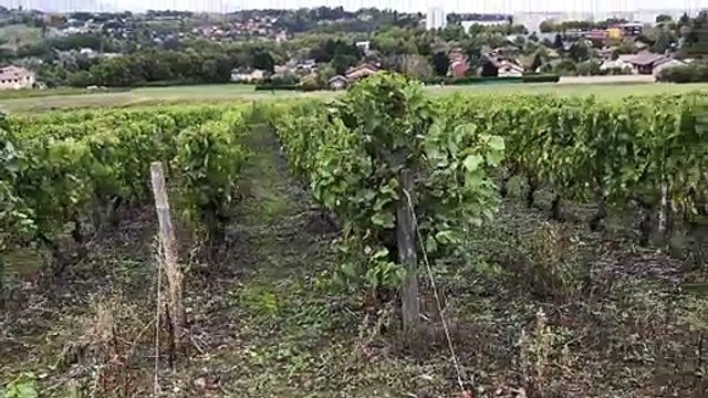 9CE61382-7744-4745-B5D8-6FB12256BC20