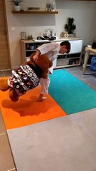 Un Uchi mata ken ken des écoles