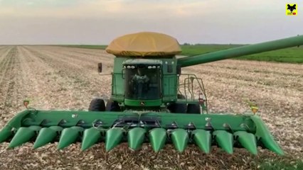 Se agota el campo mexicano cede Frente a Potencias como Brasíl, China y Estados Unidos