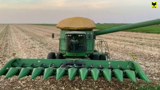 Se agota el campo mexicano cede Frente a Potencias como Brasíl, China y Estados Unidos