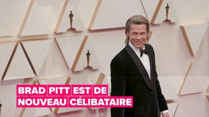 Brad Pitt est de nouveau célibataire