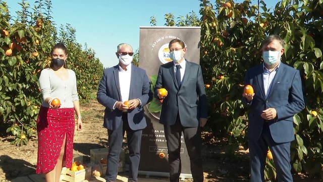 Ximo Puig da la bienvenida a la nueva temporada del Kaki Persimon