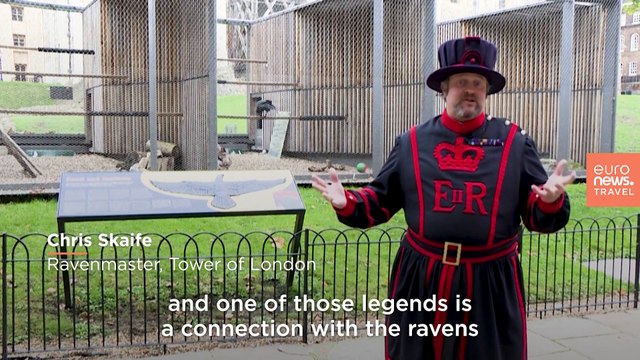 God save the birds: the centuries-old tradition upholding the United Kingdom