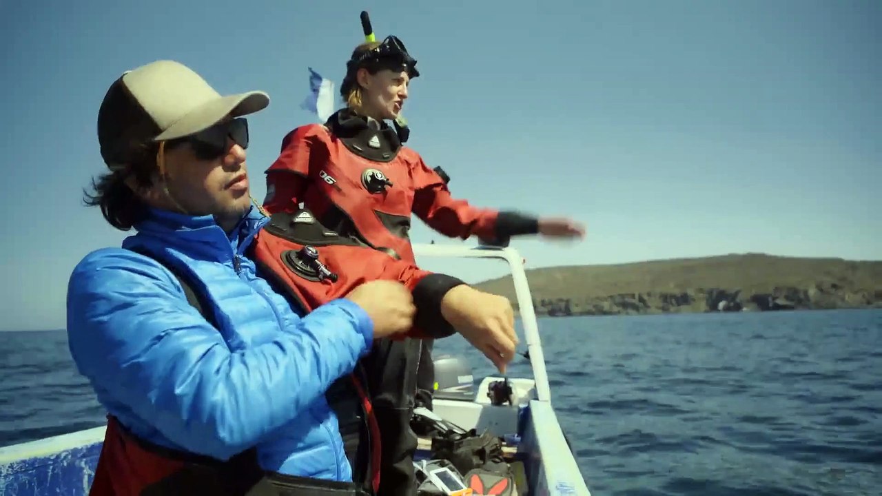 Wild Chile - Sea