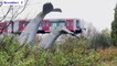 Whale Sculpture Stops Train from Derailing in the Netherlands