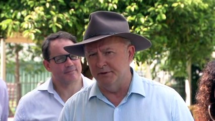 Albanese says the democratic process should be respected