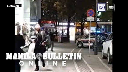 Gunman on the run after Vienna ‘terror attack’ leaves two dead