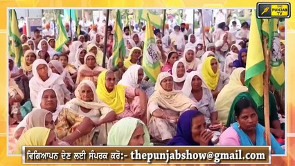 ਯੋਗਰਾਜ ਨੇ ਵਿਧਾਇਕਾਂ ਨੂੰ ਕਿਉਂ ਕਿਹਾ ਭੇਡਾਂ? Why Yograj Singh called MLAs Sheeps?