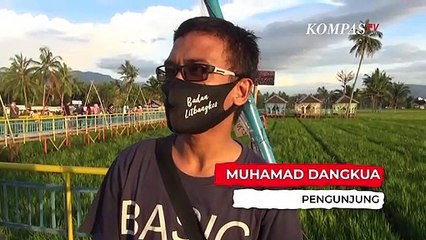 Wisata Selfie di Tengah Sawah
