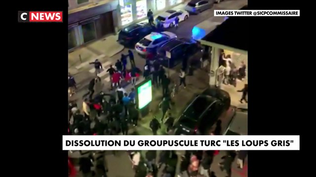 Loups Gris : un mouvement ultra-nationaliste turc bientôt dissous