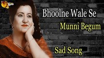 Bhoolne Wale Se | Audio-Visual | Superhit | Munni Begum