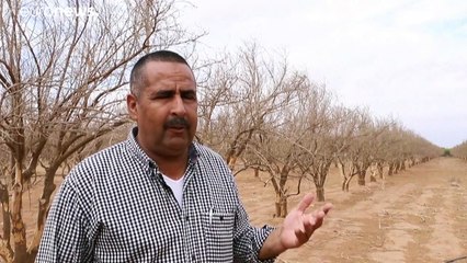 شاهد: ندرة المياه تهدد منطقة زراعية شاسعة في المغرب