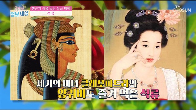 갱년기 극복! 여성호르몬 채워주는 ❛○○❜ #광고포함