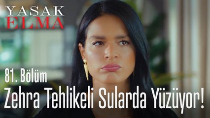 Zehra tehlikeli sularda yüzüyor - Yasak Elma 81. Bölüm