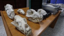 Adnan Oktar’ın kaçak fosilleri ile ilgili dikkat çeken detaylar…