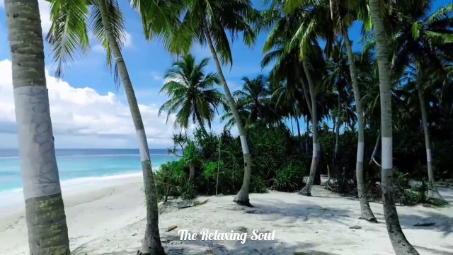 Relaxing Piano Music | Sleep Music | Meditation Music |Romantic Music | Ambient Music........