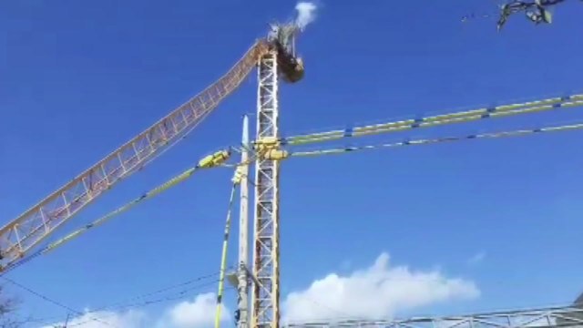 서귀포에서 대형 크레인 옆으로 쓰러져...인명 피해는 없어 / YTN