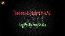 Aag Per Haram Shaks | Sunnat e nabvi | Deen | Islam | Hadees | HD Video