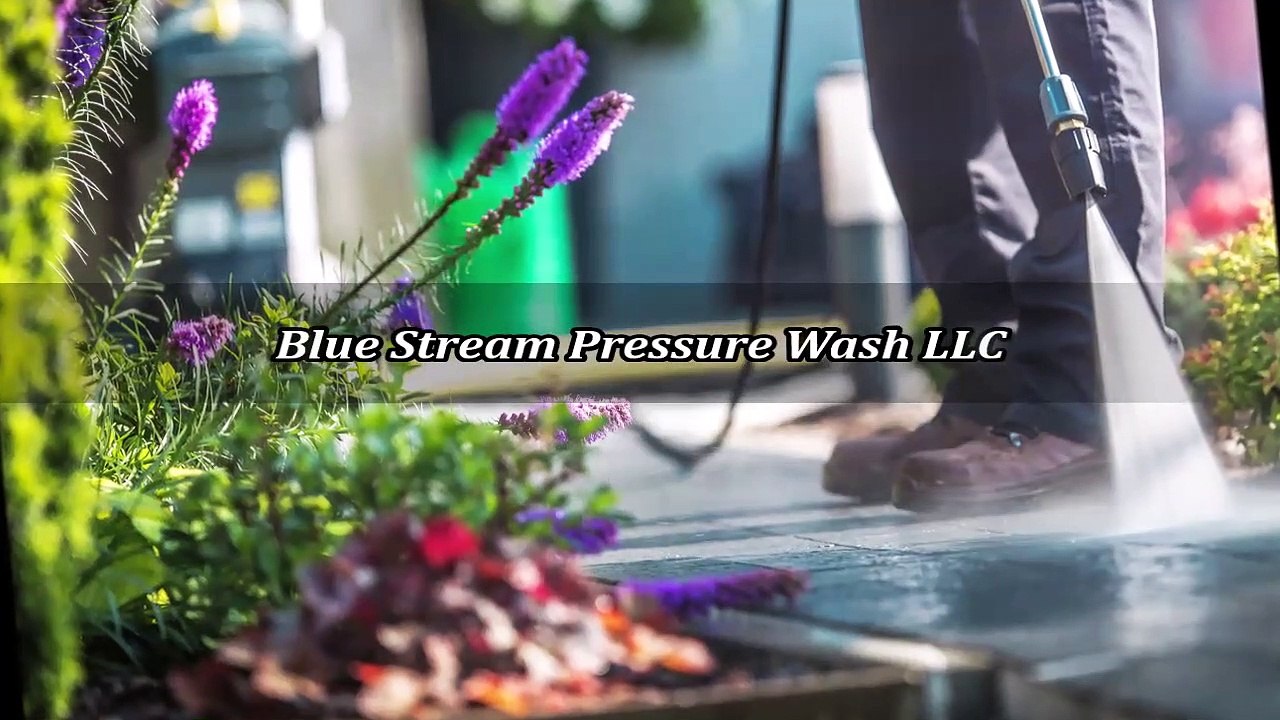 Blue Stream Pressure Wash LLC