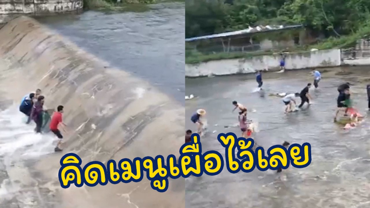 อิ่มทั้งหมู่บ้าน !! ชาวบ้านแห่จับปลาหลุดเขื่อน...