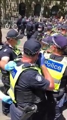 2020-11-03 at 10.23.48 PM Melbourne Peaceful Protest - Dan's Police Public Opinion Plummets - Dan's Melbourne Cup Punt now at 824 Million to 1