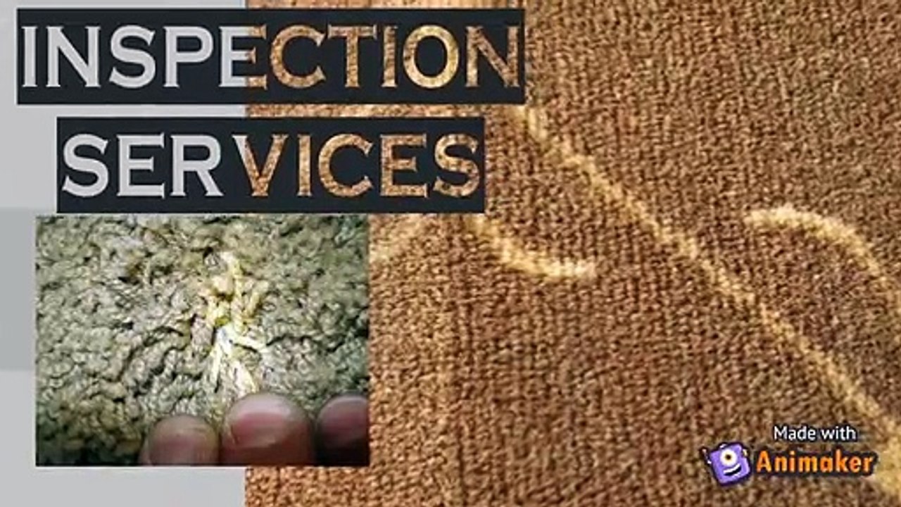 Arizona Flooring Inspection Services – David Zack Inspections