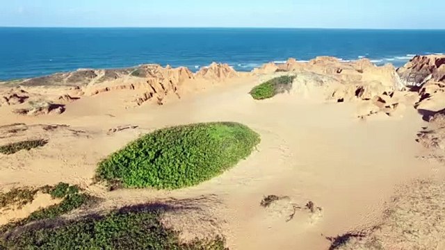 Pexels Videos 1739013