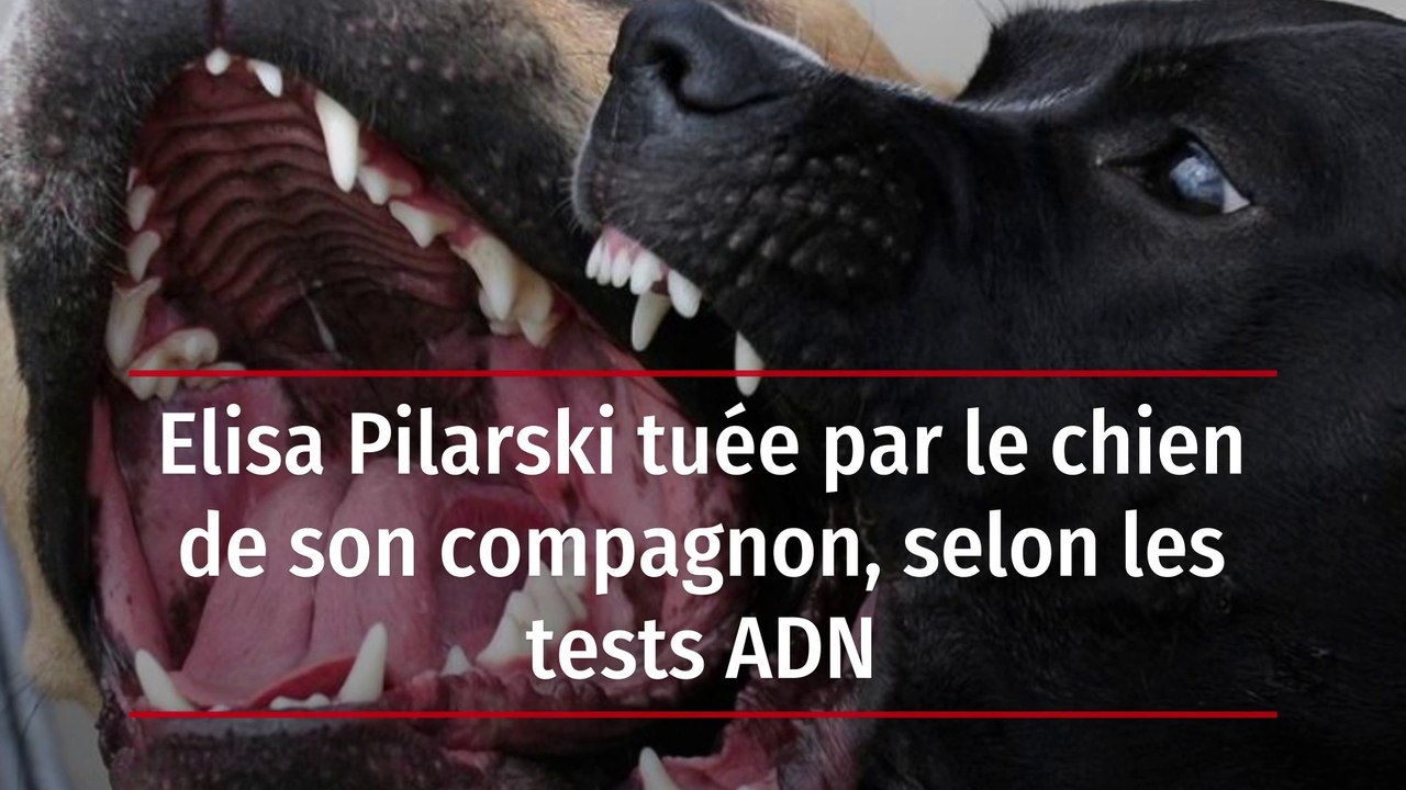 Elisa Pilarski tuée par le chien de son compagnon, selon les tests ADN