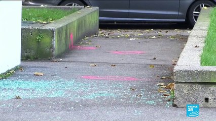 Vienna attacks: death toll rises as police hunt more gunmen