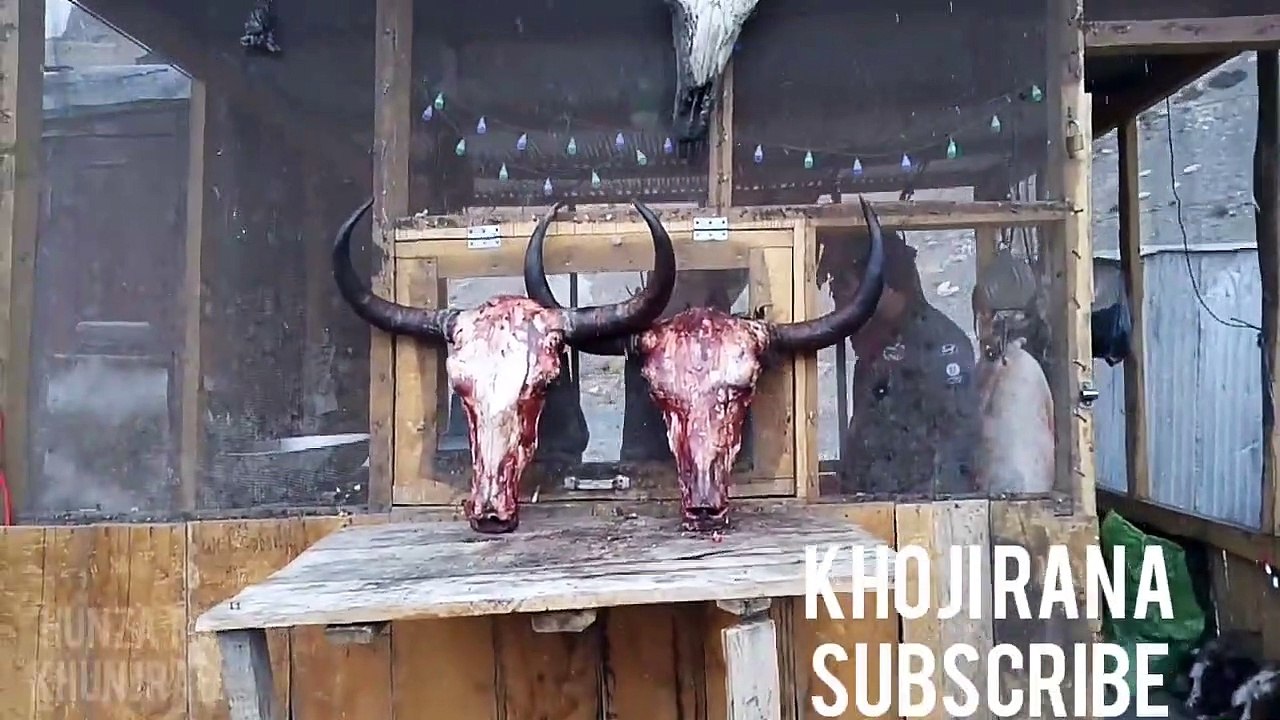 Hunza_l_khunjerab_l_Snowfall_l_yalk_l_ibex_l_2020_l_Heaven_l_Attabad_lake_l_Silk_Route_l_Khoji_Rana.mp4
