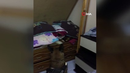 Uyuşturucu tacirleri Cash’ten kaçamadı