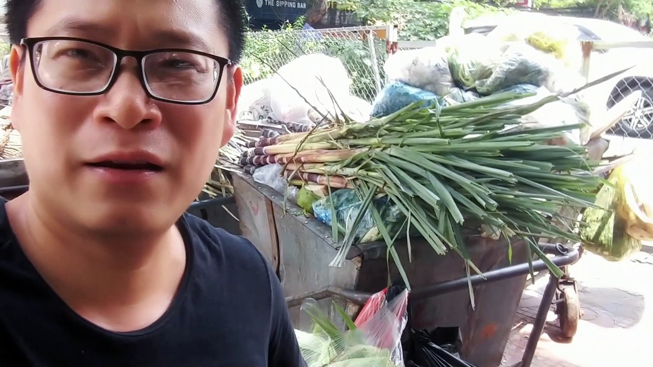 Nuôi gà sinh tồn trong thành phố| Raising chickens for survival in the city