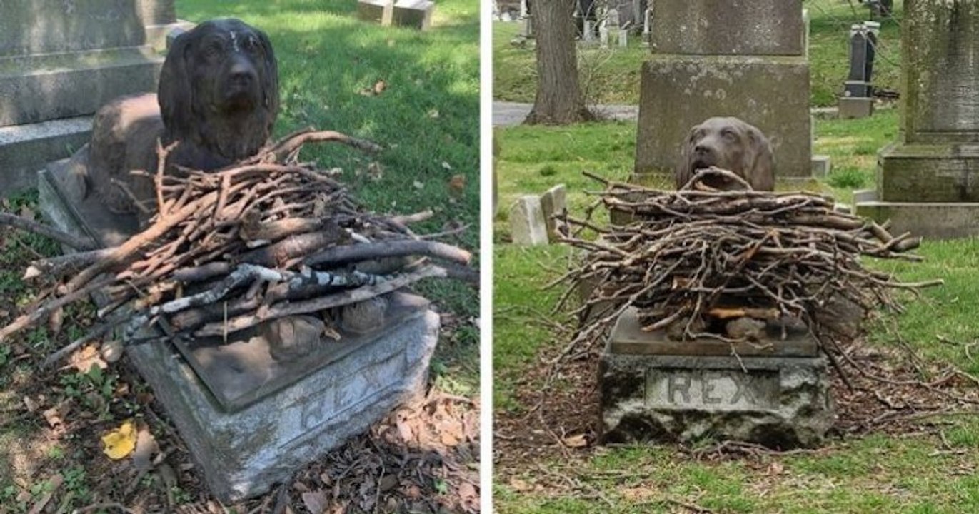 Dans ce cimetière, les visiteurs déposent des bâtons au pied de la statue d'un chien décédé il y a 100 ans