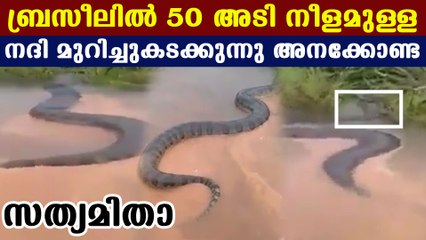 fifty feet long anaconda, truth behind viral video | Oneindia Malayalam
