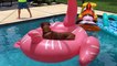 Zuma 2019 Pink Flamingo Pool Float