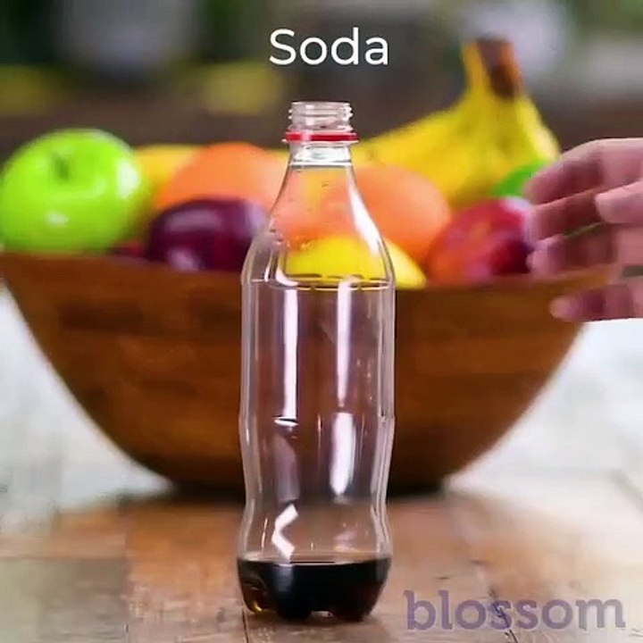 Do it YourSelf Videos 172