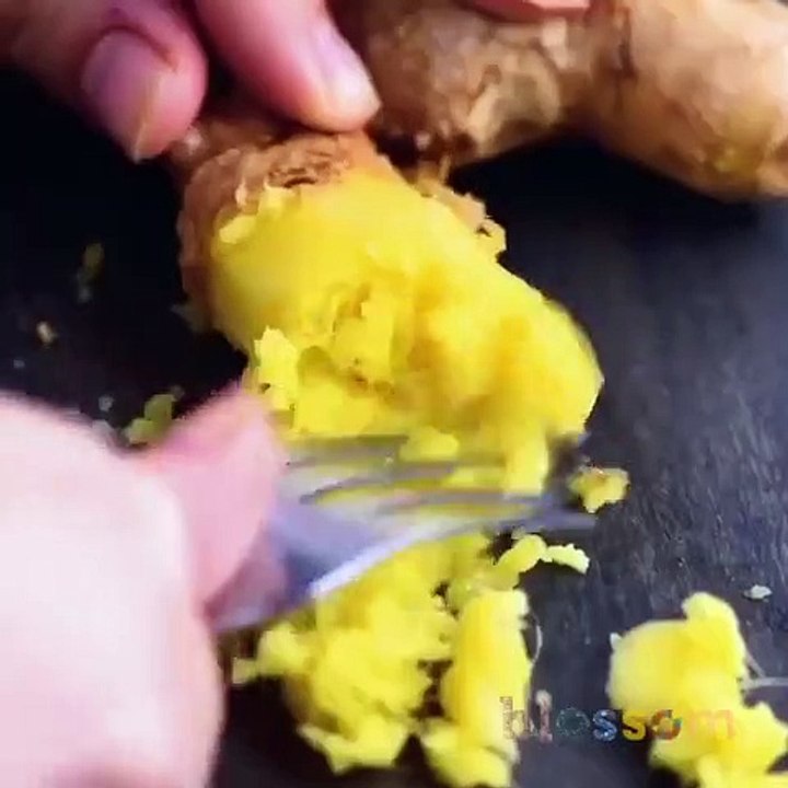 Do it YourSelf Videos 164