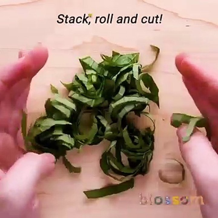 Do it YourSelf Videos 173