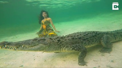 Elle pose au fond de la mer avec un crocodile énorme... séance photo risquée