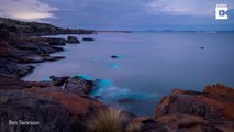 La mer passe de orange à bleue en Tasmanie... bioluminescence magnifique