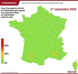 Coronavirus : la 2e vague en France, selon les taux d'occupation des lits en réanimation