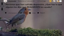 HISTORIAS DE PERSONAS CON DEPRESION -Ask Reddit