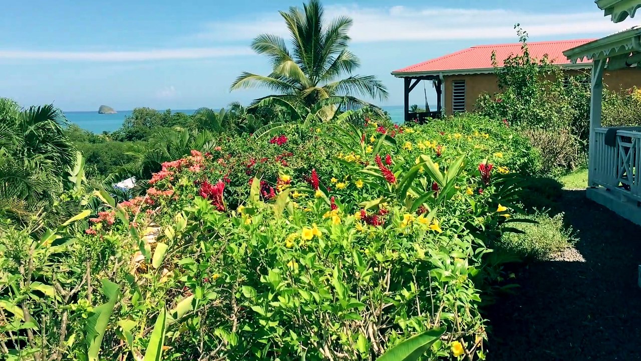 Gites Au Grand Bleu Guadeloupe