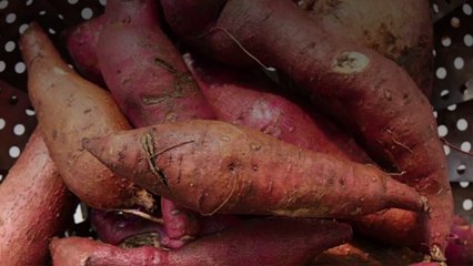 What's the Difference Between Sweet Potatoes and Yams?